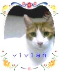vivian mobile