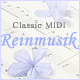 Reinmusik banner