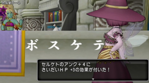 セルケト14
