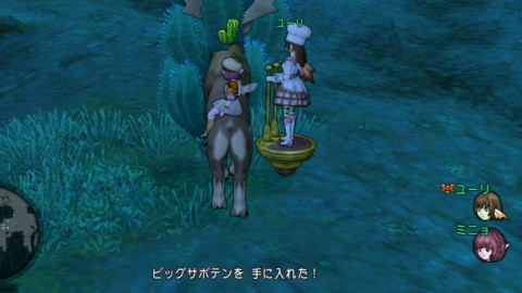 ツボ16