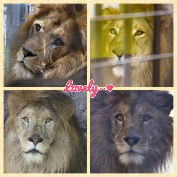 49626B14-EA62-41ED-88B5-D770C69573AB