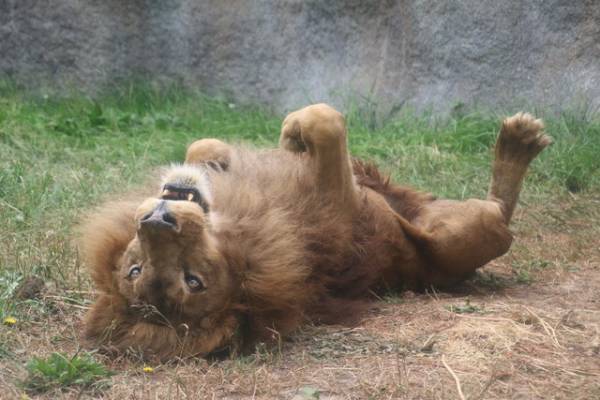 11F87BA2-A3E6-4D97-922D-6ABB9C3C07D3