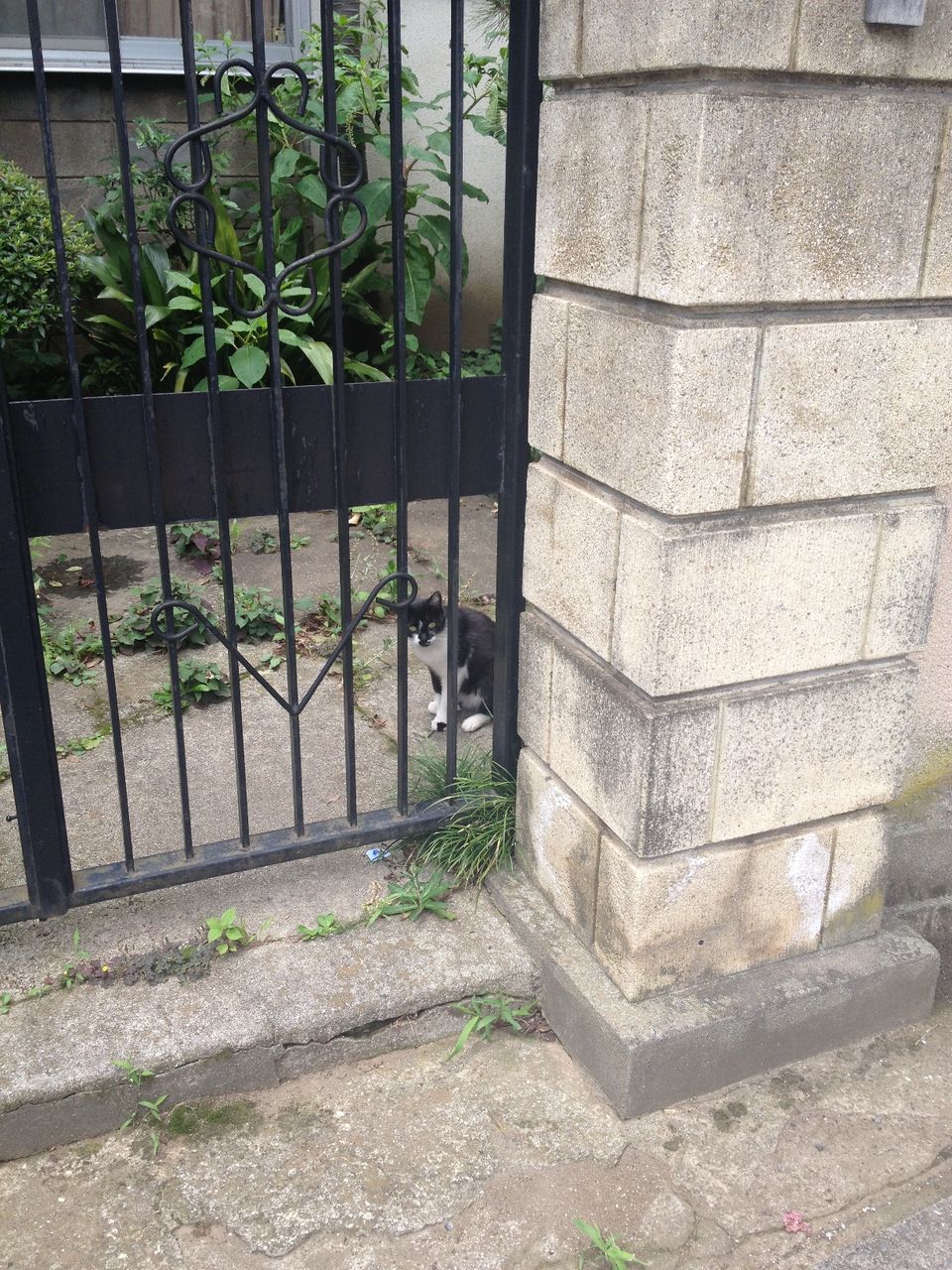 image(6)