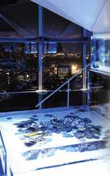 sky aquarium