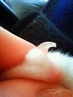 200911211223000