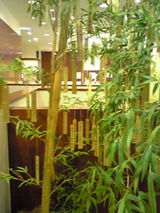 2eb59e69.JPG