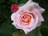 IMGP0657