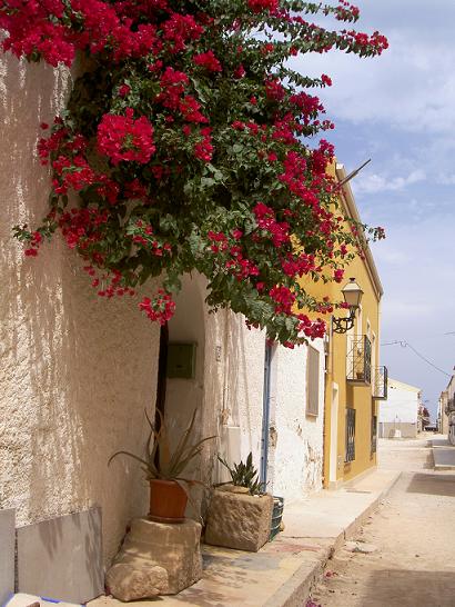 tabarca5