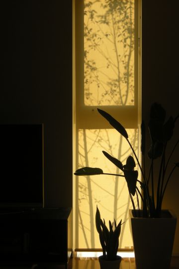 DSCN0669