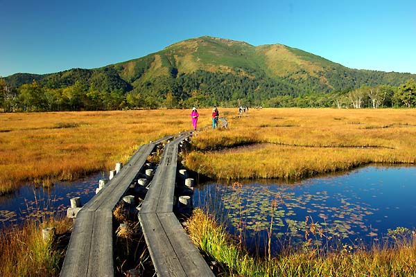 草紅葉の尾瀬ヶ原とアヤメ平の爽快ハイク 山森 浪漫
