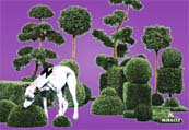 purple