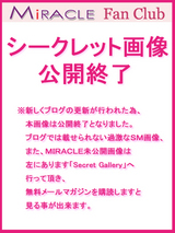 公開終了