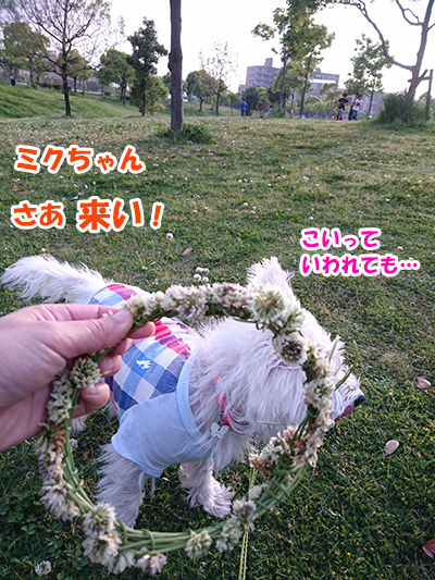 20160505