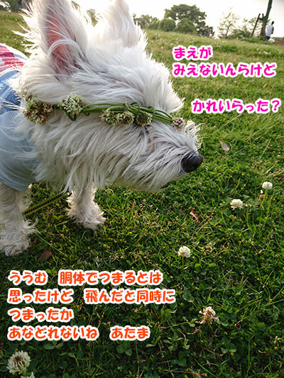 20160505_3