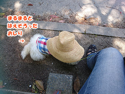 20160505_8