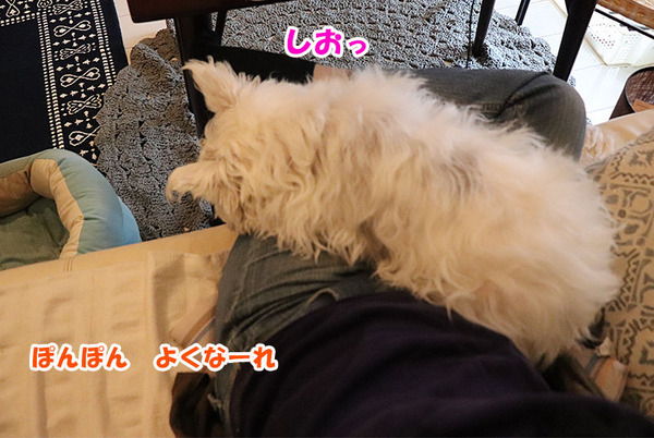 180510_9