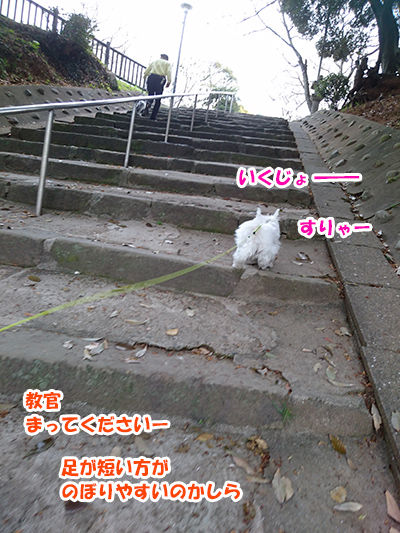 20160505_15
