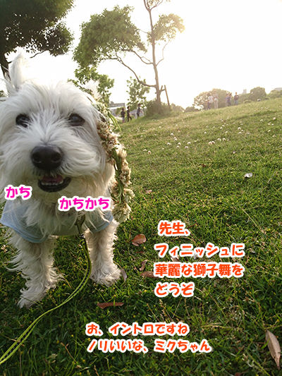 20160505_4