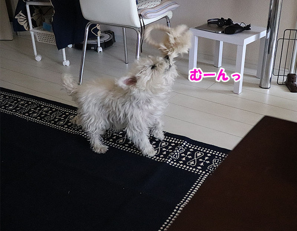 180510_7