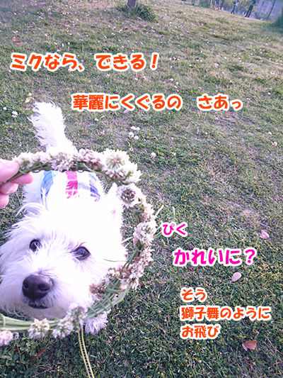 20160505_2