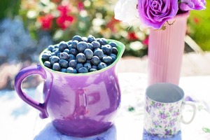 blueberries-864628_1280