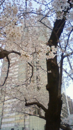 201004031420000