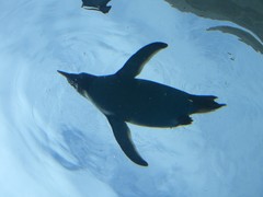 CIMG0263