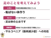 スライド11