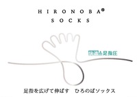 HSIS - コピー