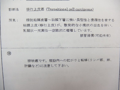 病理検査