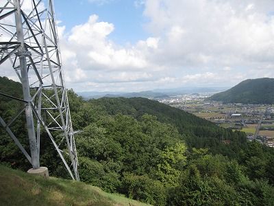 IMG_2230