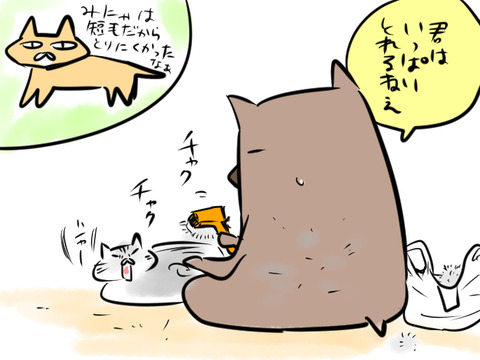 mochige