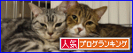 br_decobanner_20100214214723