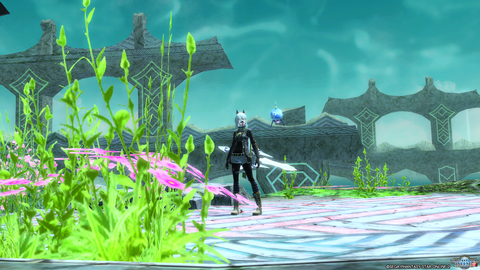pso20160216_080948_000