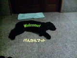 ねむねむZzz2