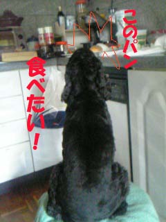 ぱん