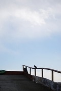 h164