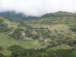 DSC02085