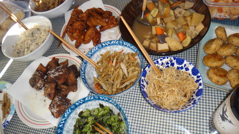 DSC05176