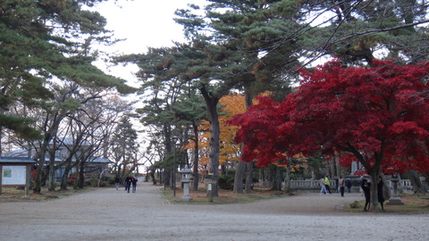 DSC00487