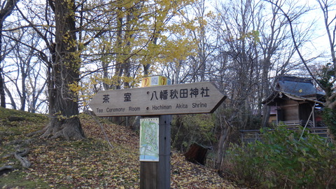 DSC00488