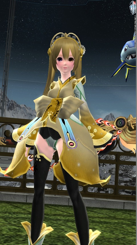 pso20131229_113125_0011
