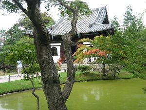 IMG_7179