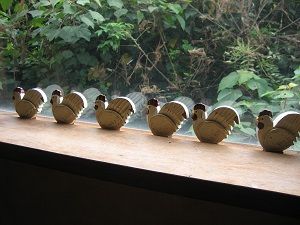 IMG_7204