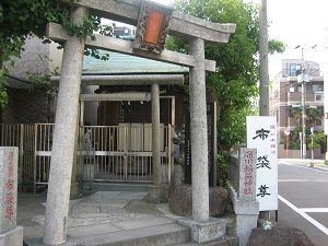 IMG_7134