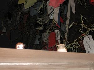 IMG_7131
