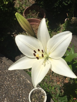 2017-06-14-13-11-54