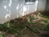 DSCF0034