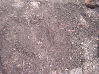 DSCF0020