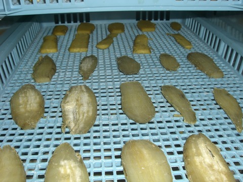 CIMG3781